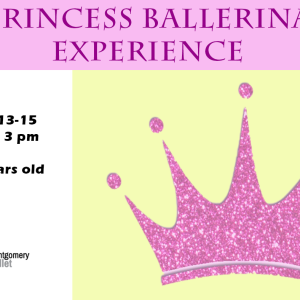 Mini Camps - Princess Ballerina Camp