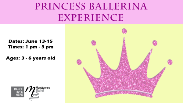 Mini Camps - Princess Ballerina Camp